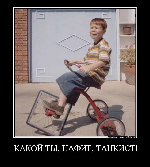 554772539.webp