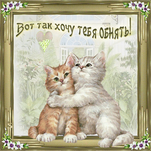 55488308_51649762_hochu_obnyat.gif