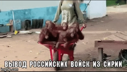 554ebc9fa3c1fefcaf3799e4e3db9237.gif