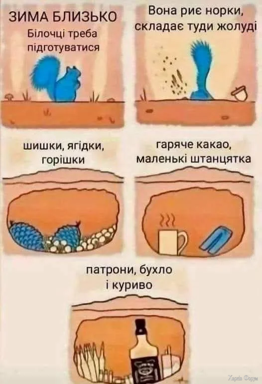 555439088_818675514008810_668897521273737504_n.webp