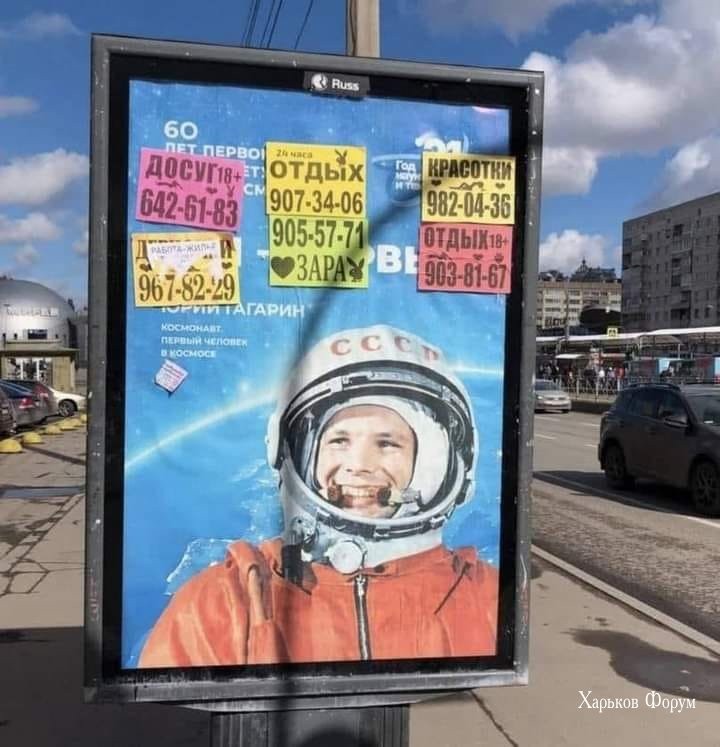55543b574c3d0354c0f49.jpg