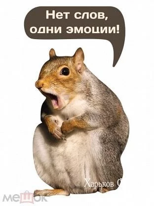55630cf176ea3215bad3.webp