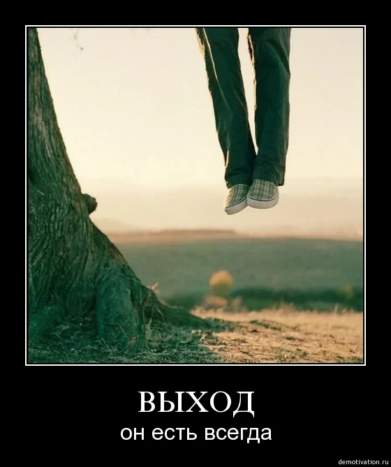556beb17a765dae6f258fc5ef8abe382.webp