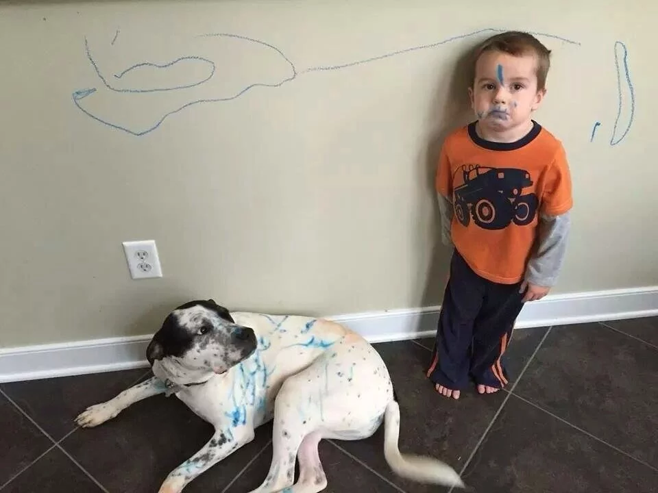 5570106032972_o.webp