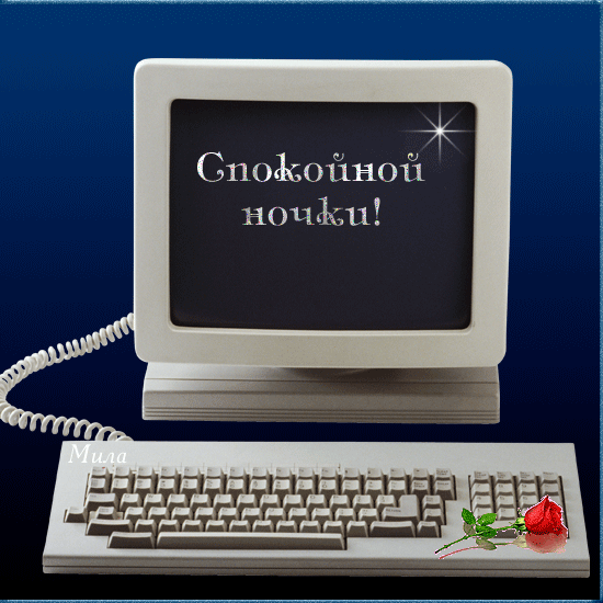 557761041.gif