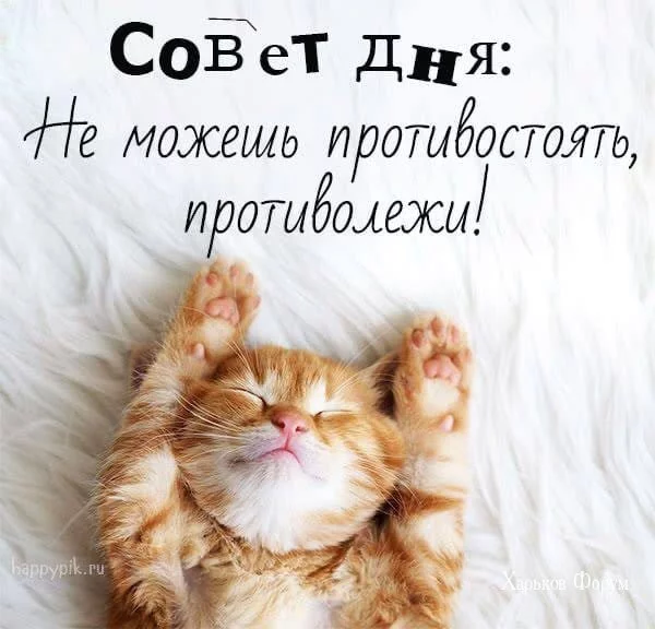 5586d8341259aad3.webp