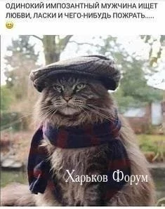 55876c777445f56198c334.webp