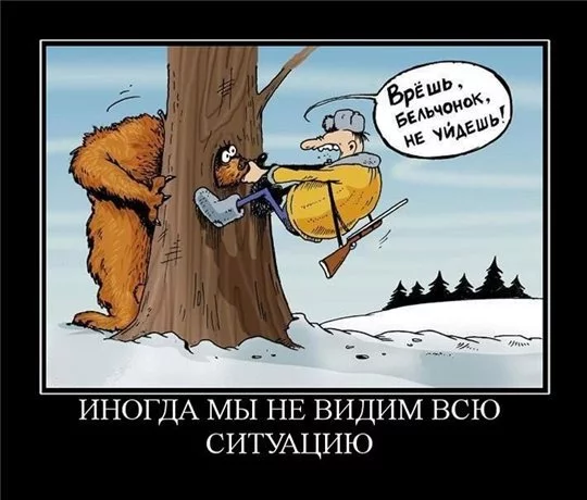 55877277.webp