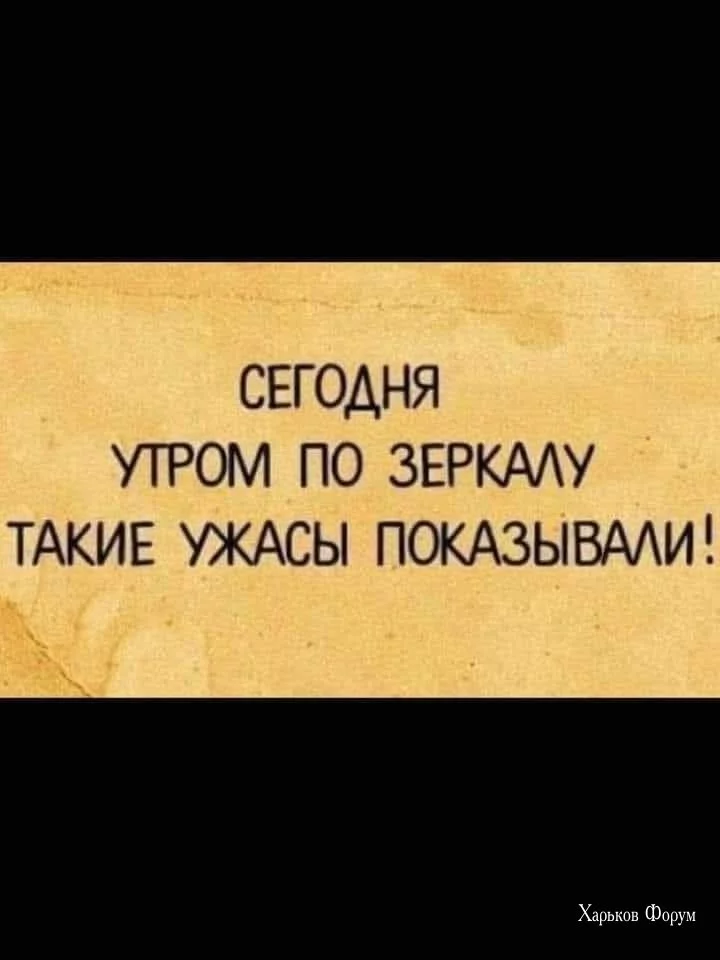 558905566547033e.webp