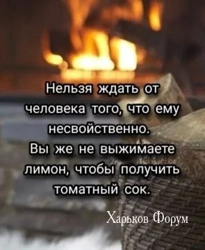 5589b9c6ae20f517c12cb935.webp