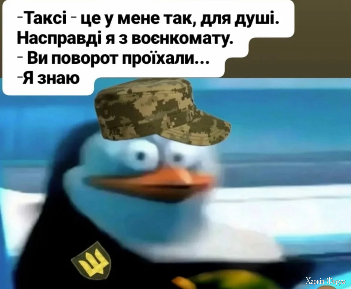 559534332_1236524851853508_5715631249988396090_n.webp
