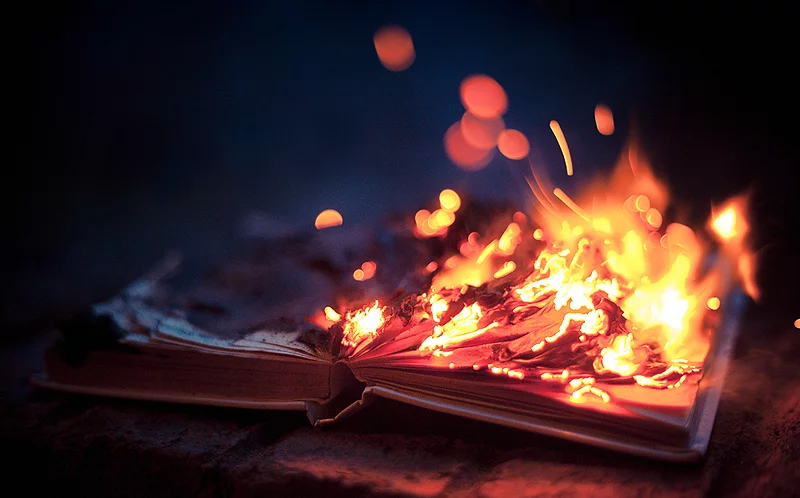 5596e11017287_bookfire.webp