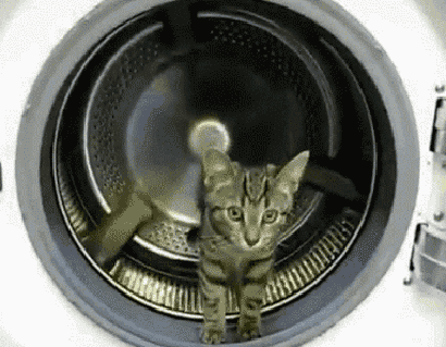 55a622fa50db9eea5.gif