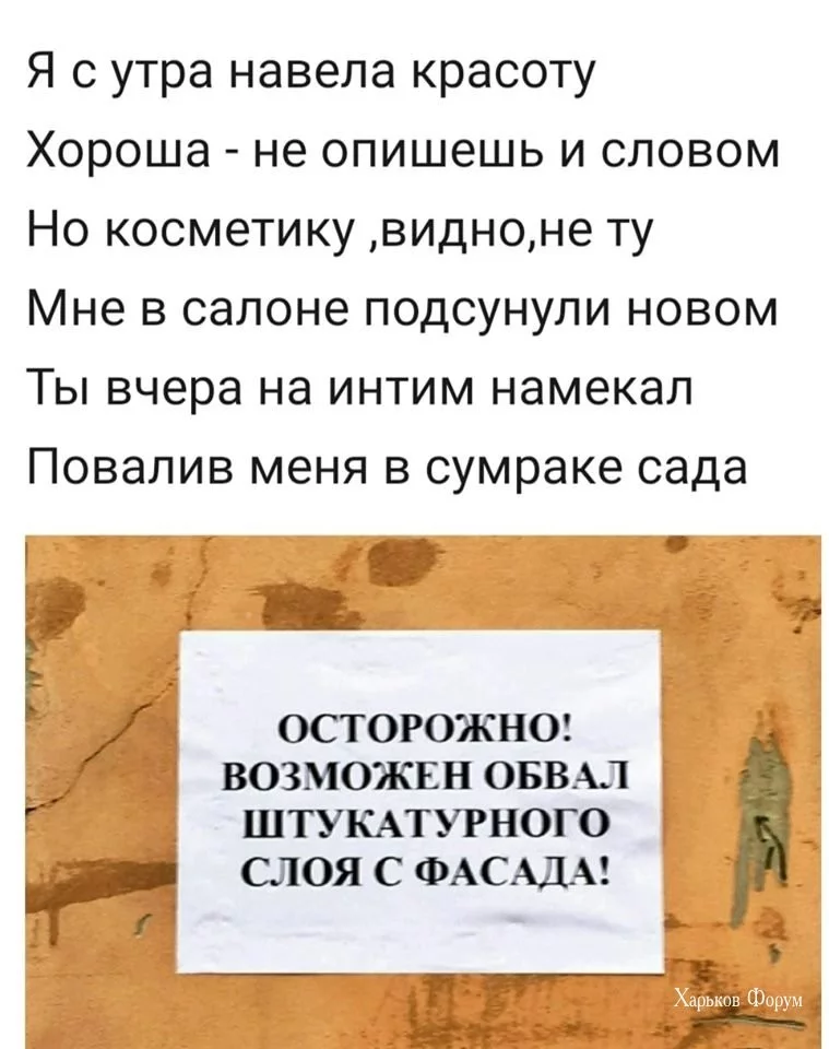 55aced04754779ea.webp