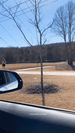 55b78e6b1ba9ceb8f.gif