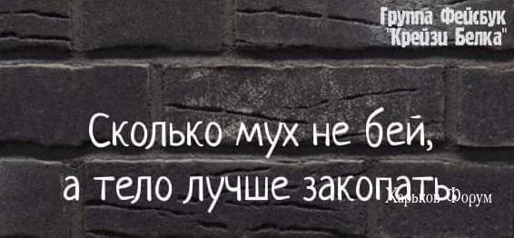 55be7d6b0a10b0f776ef05.webp