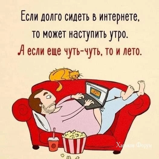 55d58b0905a2f061e2062c.webp