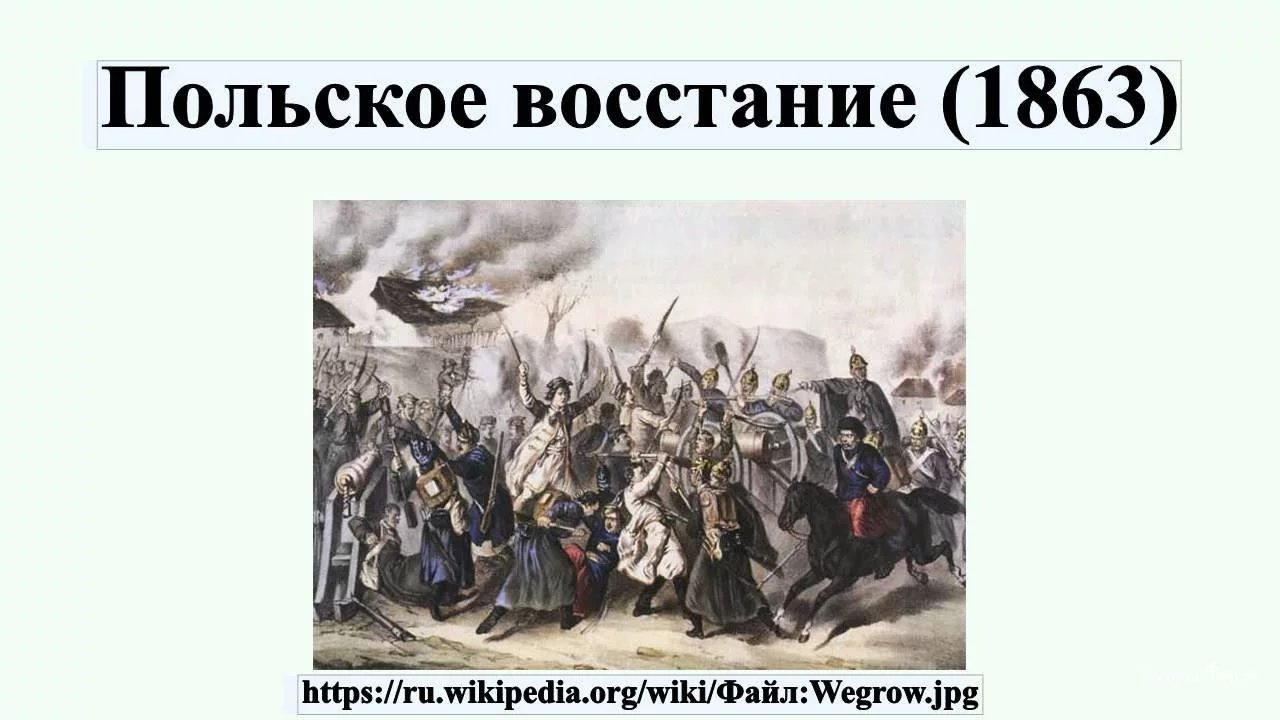 55d6738a1248d672fe465.webp