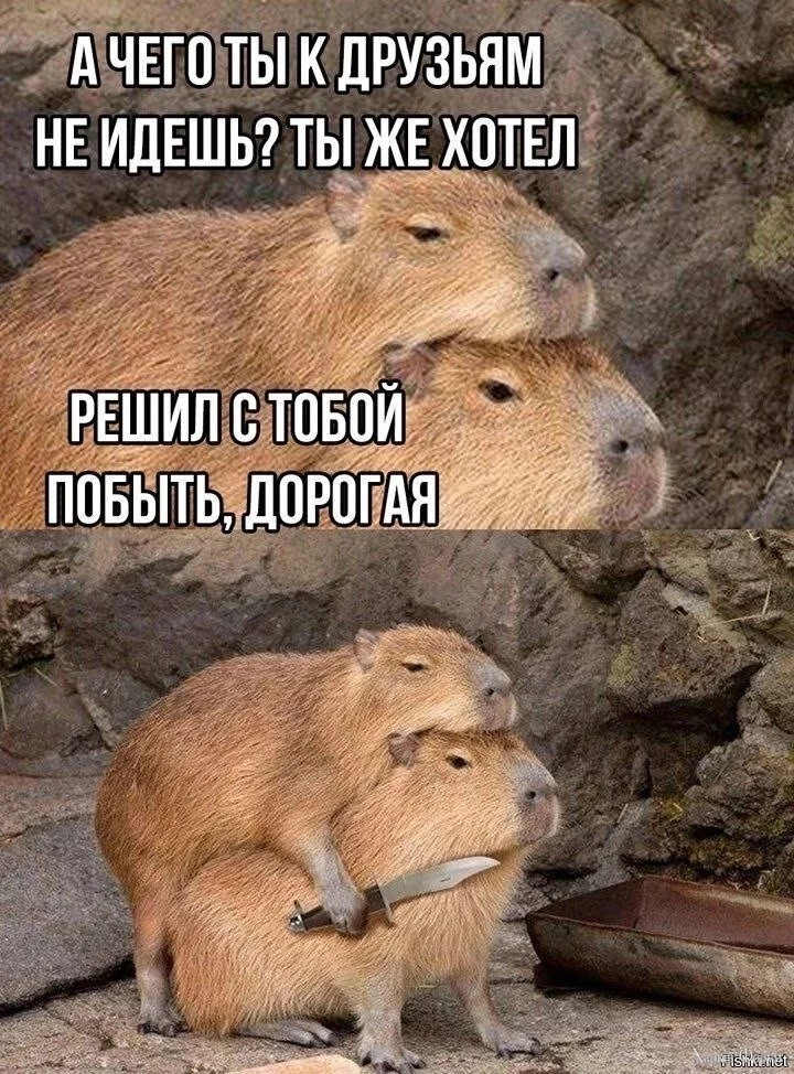 55df9d17f790ea4526171d73e416e4f5.webp