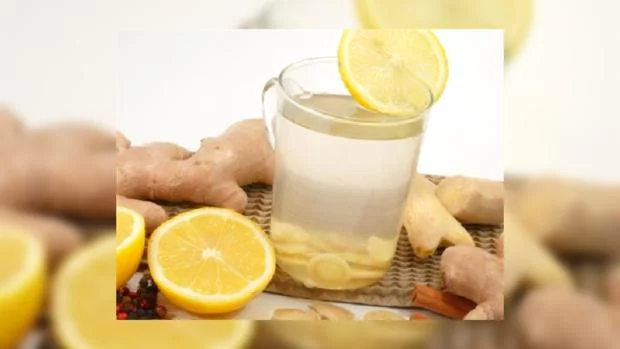 55e8a86e94614_Imbirni_limonad_Limonnik.webp