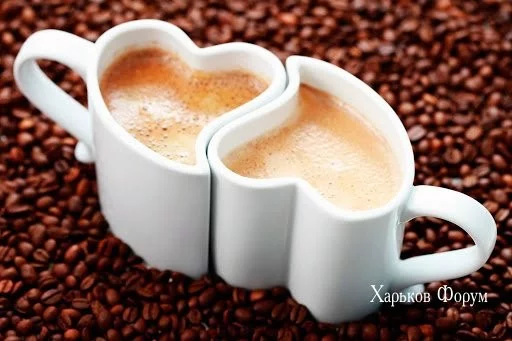 55f496f3fd65a5b20eec58.webp