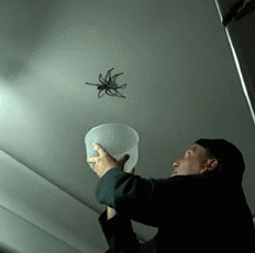 55fff4d442c28d4e97bf0328.gif