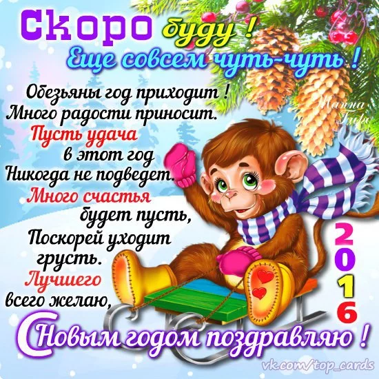 55XD60Oj_UA.webp