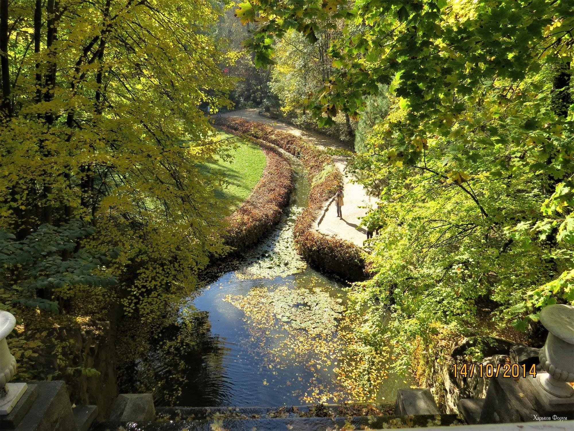 5600c543fb198413af60.webp