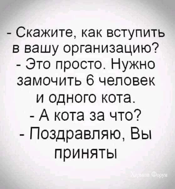 56096a60981b4d6dca.webp