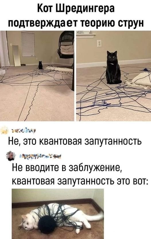 5610a6f87cdccbba923a37.jpg