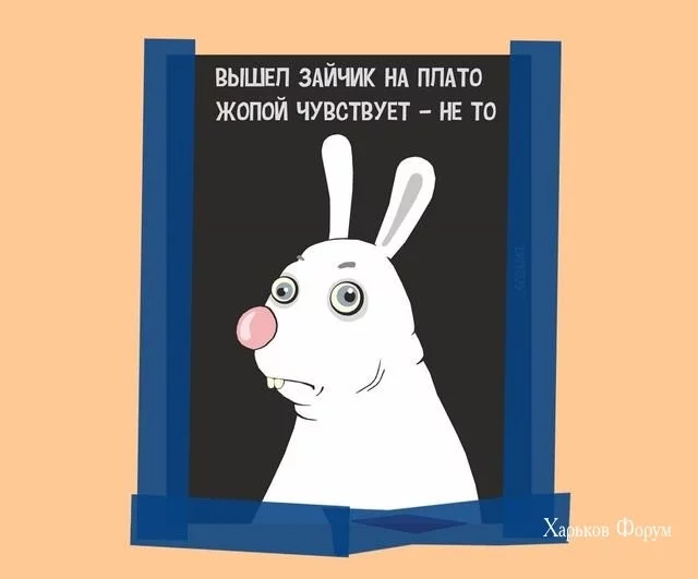 5613e5dae487c3122c05e9.webp