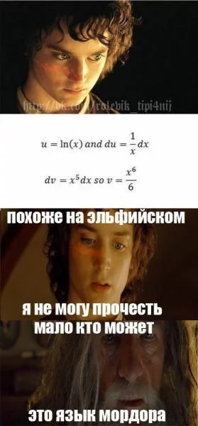 56157.webp