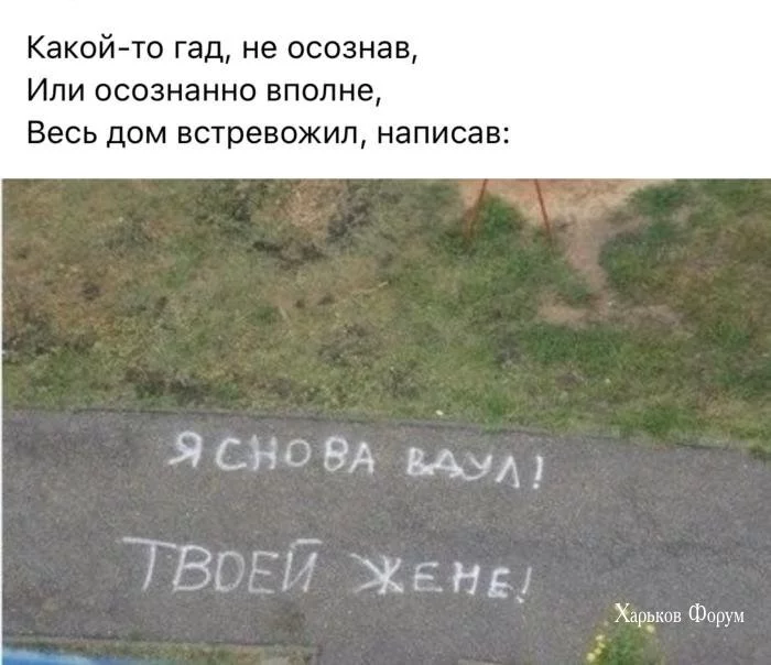 561865c718920a0b5ce.webp