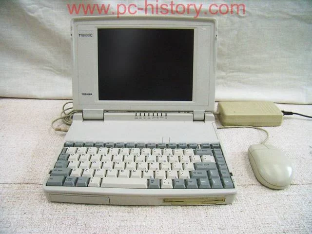 5619845_m.webp