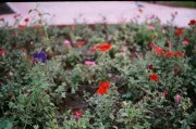 562.webp