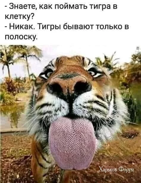5626ae6a4d82a2b5f7d5e5c3.webp