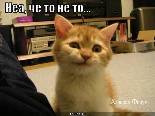 5635f70cfc6ae024fc7.webp