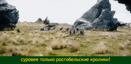 563a95731697ff06e39704.gif