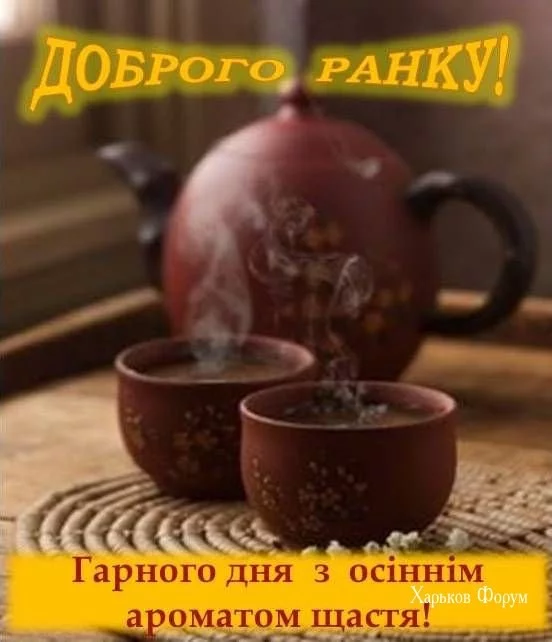 56401eedafcf6e0520d6.webp