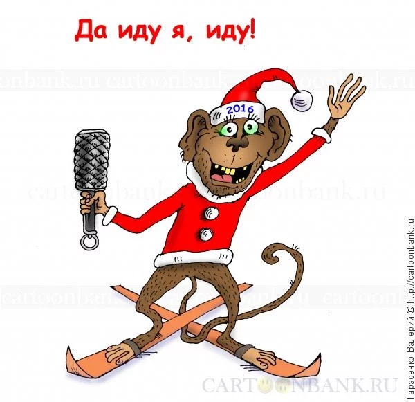 56529c4a592c42.50242652_40.webp
