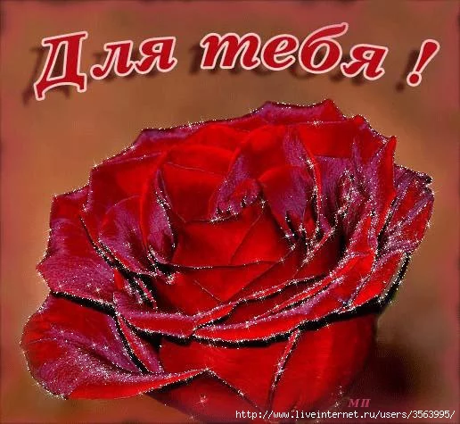 56537349_OI_491263df0b054e6d8bc0131f237438e2.webp