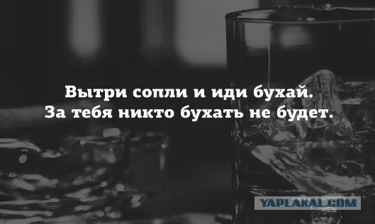 5659972.webp
