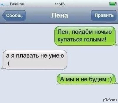 56661.webp
