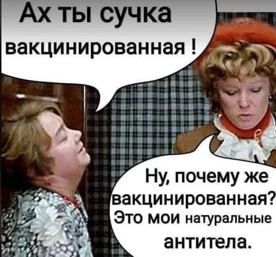 566b9a5e3443770d536a294a.webp