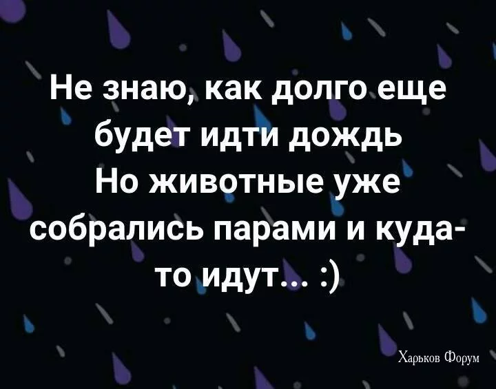 566c3ab174784d95f16ec206.webp