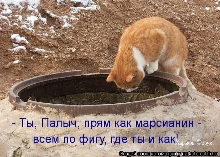 5671f72a76fc0772eb5f7.webp