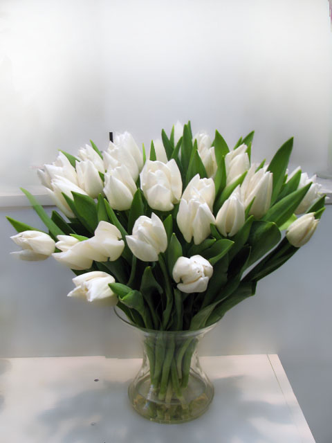 56751346_whitetulipvase_enl.jpg