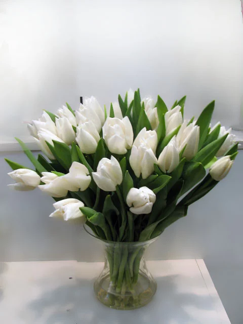 56751346_whitetulipvase_enl.webp