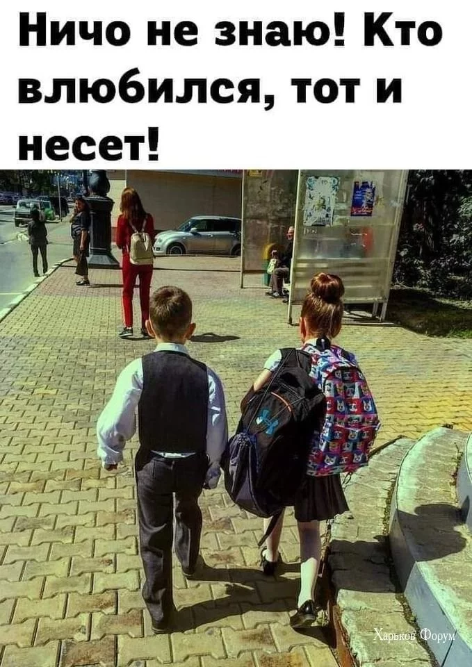 5682151d7375dda21a.webp