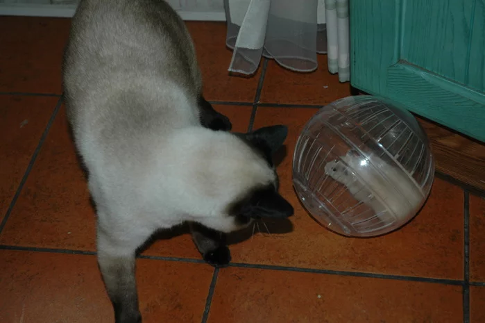 56828125_1269324327_56818345_kanikuluy_319.webp